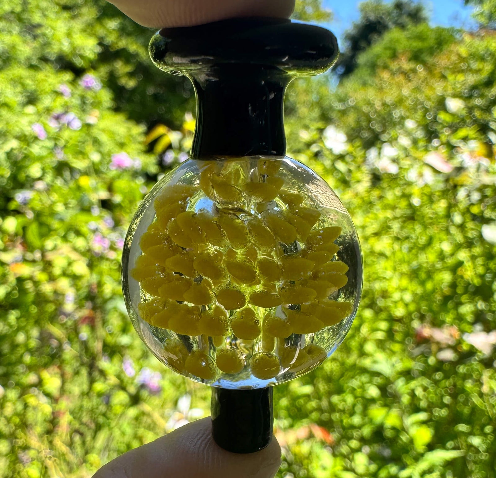 Free Summer 2026 Bubble Cap Image